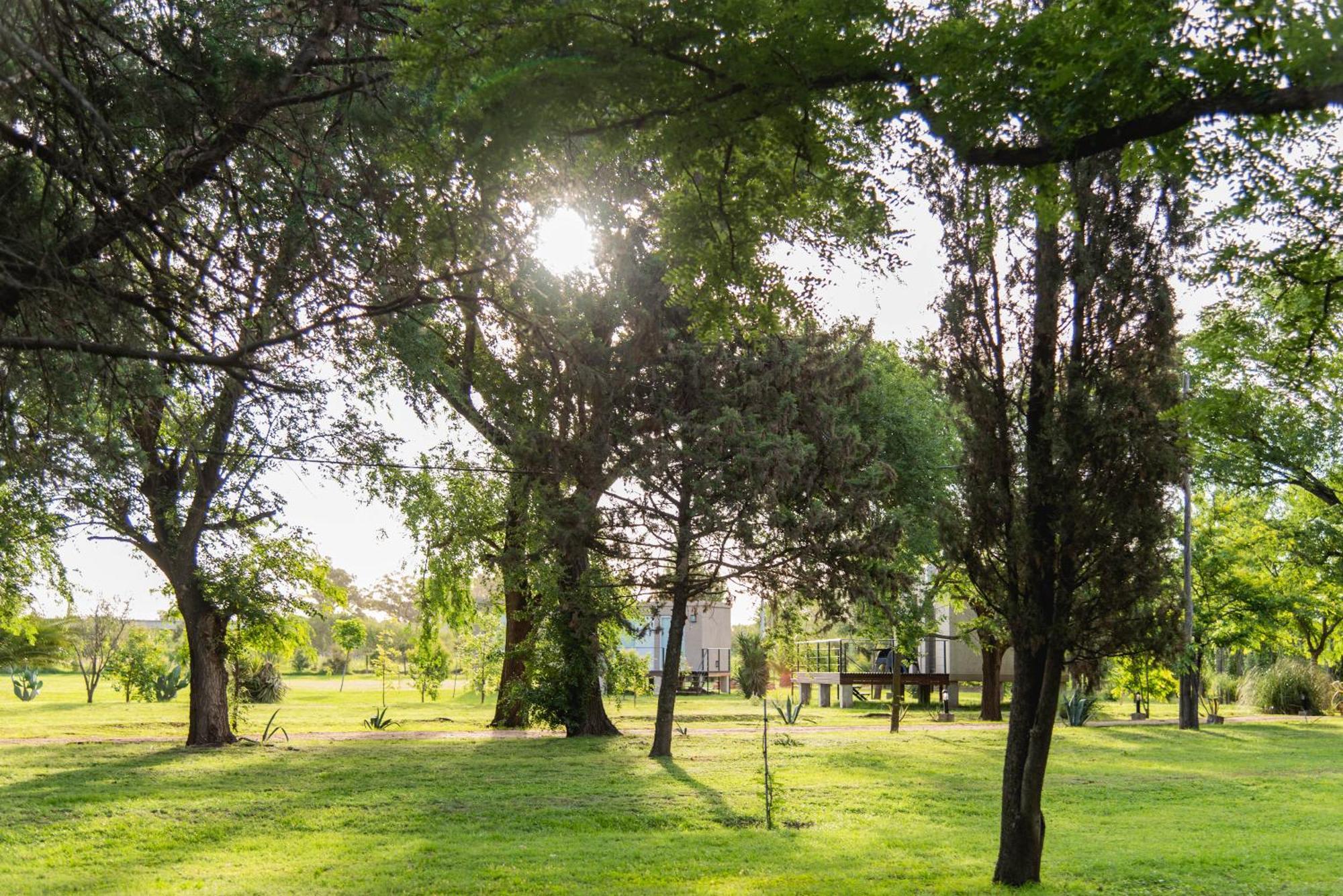 La Quinta, Cabanas De Campo Villa Nueva  Exteriör bild
